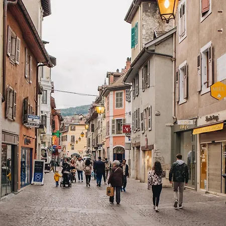 La Vie En Rose - Luxe, Calme & Hypercentre - 3* Annecy